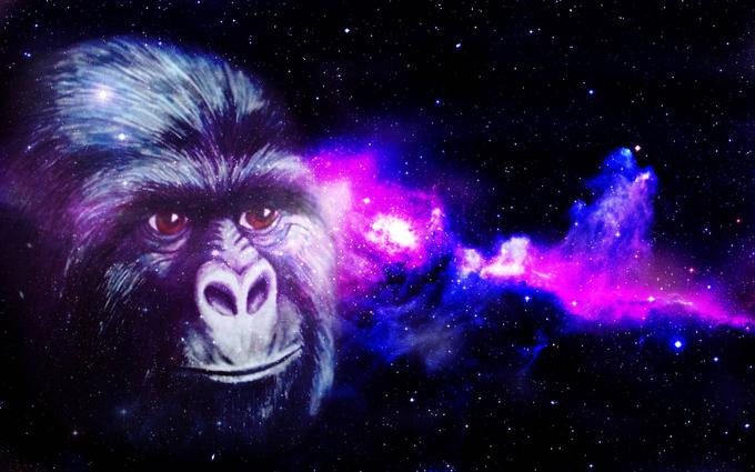 the law of attraction alternate explanation 1: mental gorillas